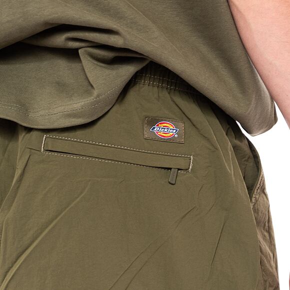 Kraťasy Dickies Jackson Cargo Short DK0A4YACMGR1