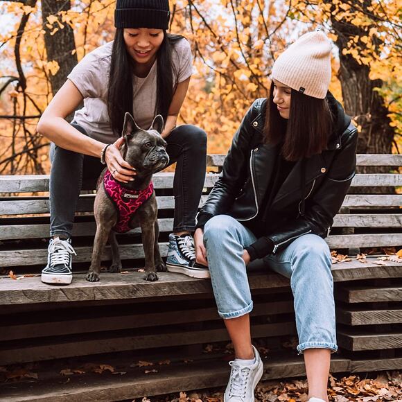 STATEWEAR Frank Beanie Black