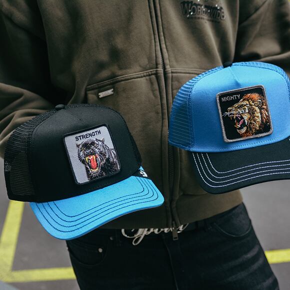 Kšiltovka Goorin Trucker - Lion Fan - Blue