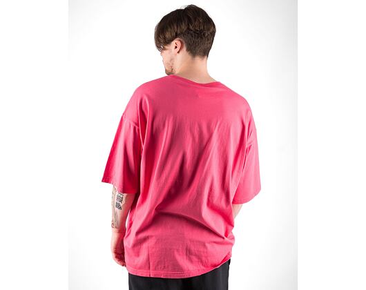 Champion Premium AR1 - Archive Crewneck T-Shirt 218651-PIP