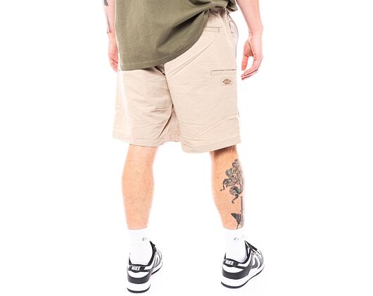 Kraťasy Dickies Fincastle Short DK0A4YSLSS01