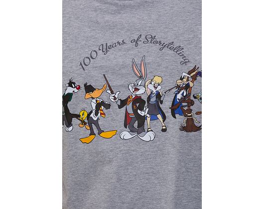 Triko New Era Looney Tunes × Harry Potter 100th Line Up Oversized Tee Grey