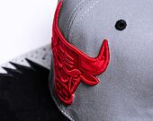 Mitchell & Ness Day 5 Snapback Chicago Bulls Grey / Black Cap