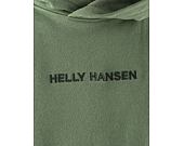 Mikina Helly Hansen Core Graphic Sweat Hoodie Jade 2.0