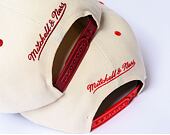 Kšiltovka NBA Retro Type Pro Snapback Chicago Bulls Off White