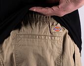 Kraťasy Dickies PELICAN RAPIDS DK0A4XB2DS01