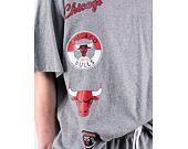 Triko Mitchell & Ness NBA M&N CITY COLLECTION S/S TEE BULLS Grey Heather