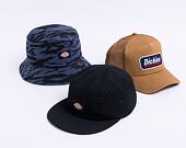 Dickies Albertwille DK0A4XC1BLK1 Black Cap