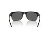 Sluneční Brýle Oakley Holbrook Prizm Black