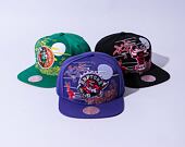 Kšiltovka Mitchell & Ness "Year of the Rabbit" Snapback HWC TORONTO RAPTORS Purple