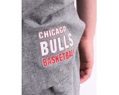 Triko Mitchell & Ness NBA M&N CITY COLLECTION S/S TEE BULLS Grey Heather