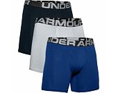 Under Armour Charged Cotton 6in 3 Pack Briefs