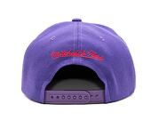 Kšiltovka Mitchell & Ness NBA Paint By Number Snapback HWC Raptors