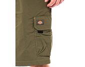 Kraťasy Dickies Jackson Cargo Short DK0A4YACMGR1