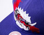 Kšiltovka Mitchell & Ness NBA Paint By Number Snapback HWC Raptors